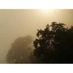 Synergistic Leather Watch fr-FR